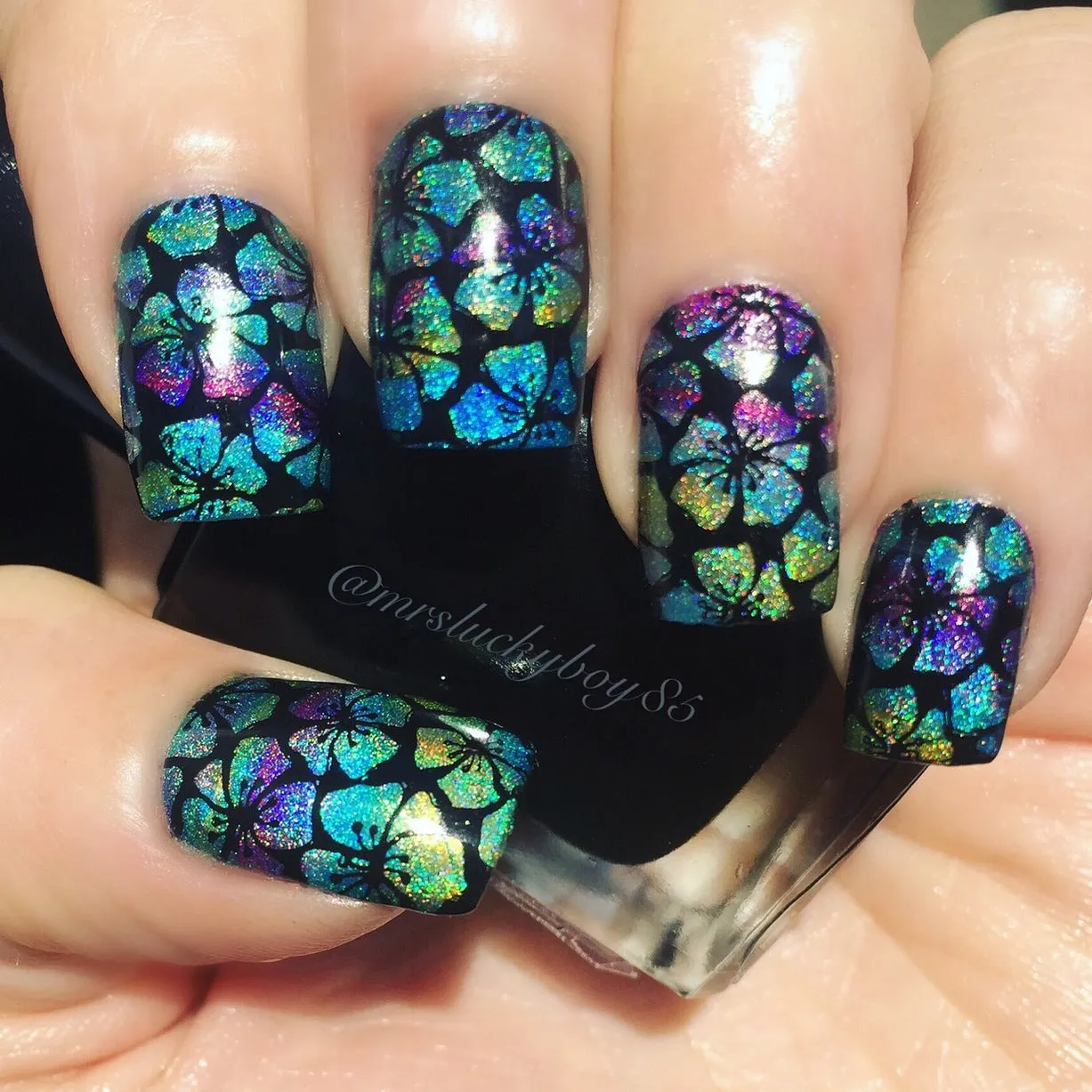 Collection 5 - Uber Chic Stamping Plates