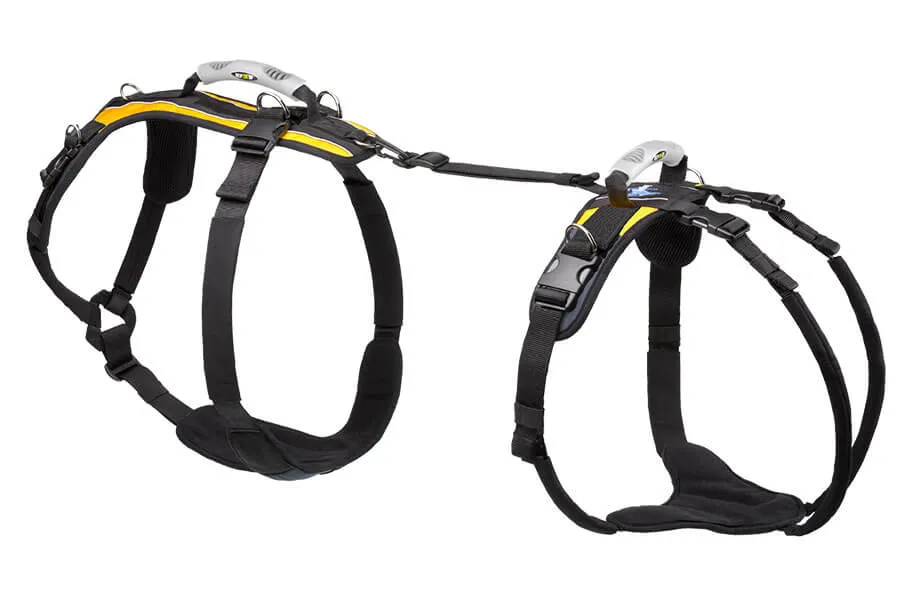 Extra Large U-Band Harness