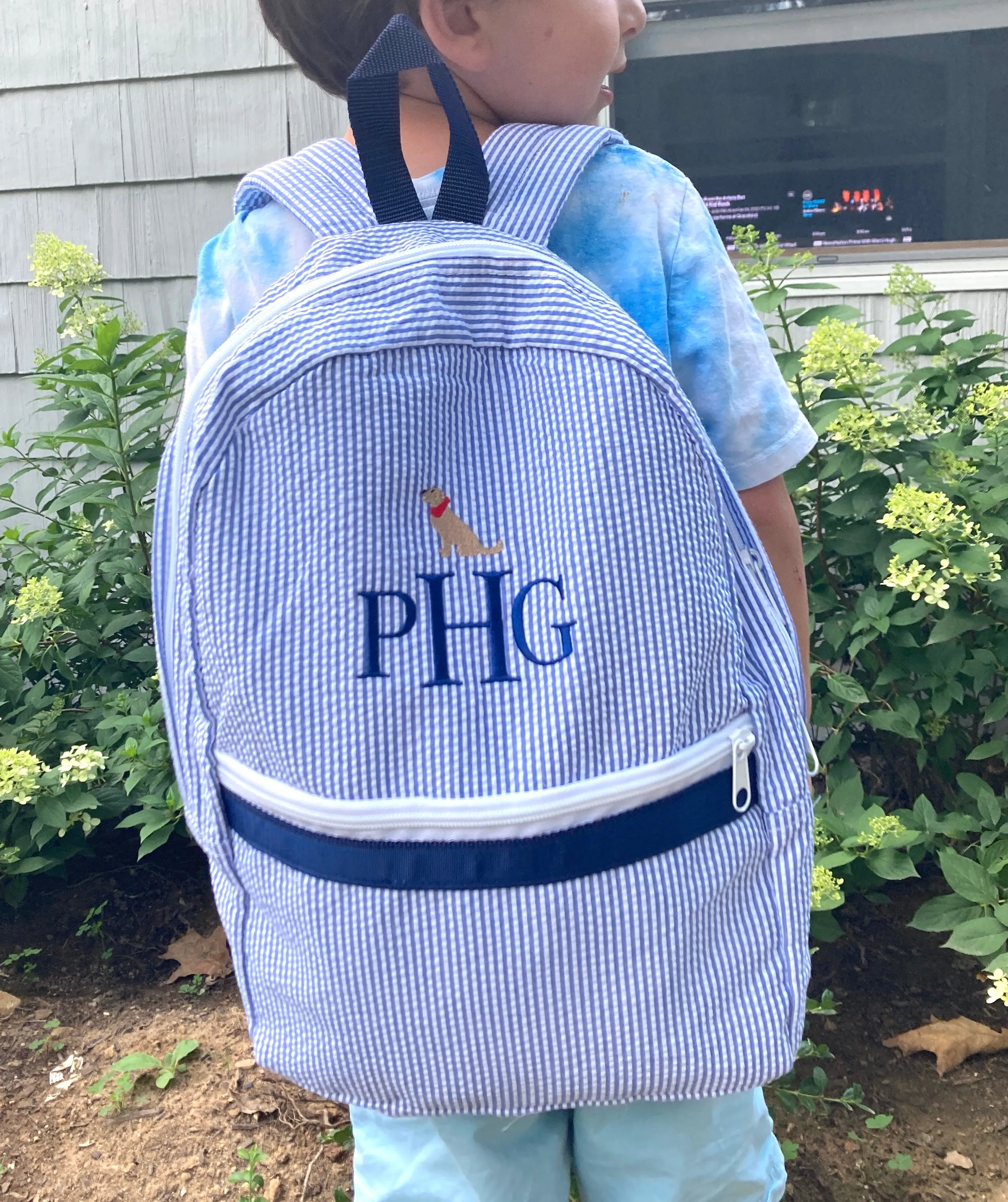 Seersucker Backpack