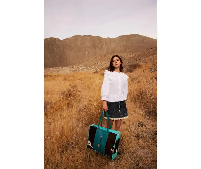 Sky Falcon Canvas & Hairon Bag in Dark